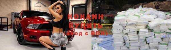 шишки Михайловск
