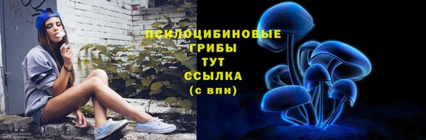 шишки Михайловск