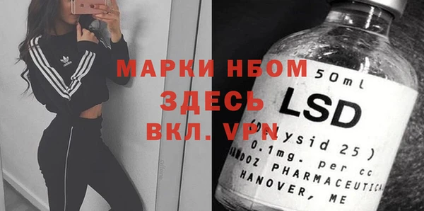 шишки Михайловск