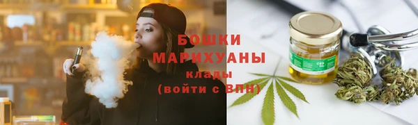 шишки Михайловск