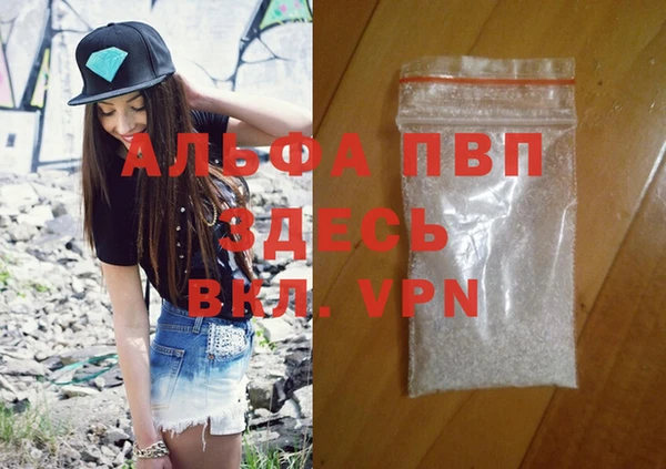 шишки Михайловск