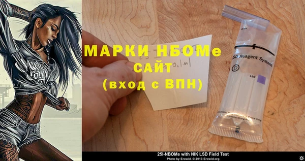 шишки Михайловск