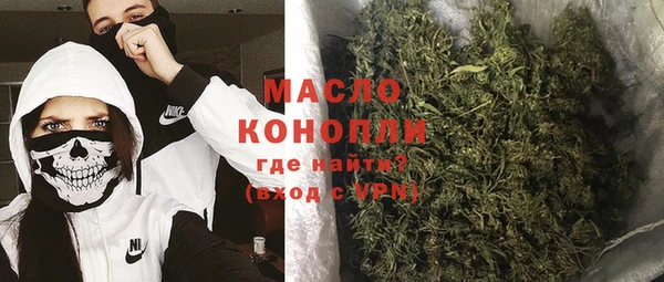 шишки Михайловск