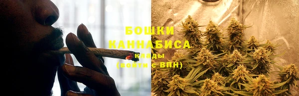 шишки Михайловск